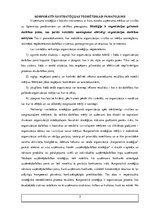 Referāts 'Uzņēmuma stratēģijas pamats', 3.