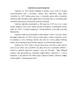 Referāts 'Uzņēmuma stratēģijas pamats', 5.