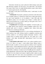 Referāts 'Uzņēmuma stratēģijas pamats', 7.