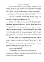 Referāts 'Uzņēmuma stratēģijas pamats', 9.