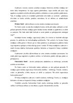 Referāts 'Uzņēmuma stratēģijas pamats', 10.