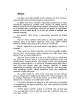 Referāts 'Valsts forma', 4.