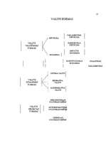 Referāts 'Valsts forma', 13.