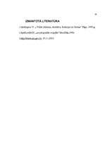 Referāts 'Valsts forma', 15.