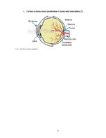 Referāts 'Darba vides izraisītas slimības', 8.
