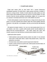 Referāts 'Darba vides izraisītas slimības', 9.