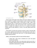 Referāts 'Darba vides izraisītas slimības', 12.
