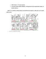 Referāts 'Darba vides izraisītas slimības', 13.