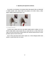 Referāts 'Darba vides izraisītas slimības', 14.