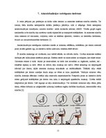 Referāts 'Darba vides izraisītas slimības', 15.