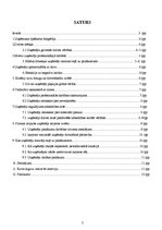 Referāts 'Panākumu cilvēks', 2.