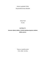 Referāts 'Renesanses laikmeta kultūras vēsturiskā mantojuma izpausmes mūsdienu kultūras pr', 1.