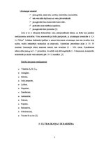 Konspekts 'Ultraskaņas terapija', 6.