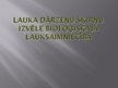 Prezentācija 'Lauka dārzeņu šķirņu izvēle bioloģiskajā lauksaimniecībā un artišoka audzēšana', 1.