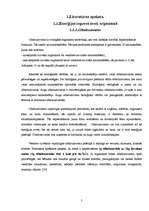 Referāts 'Enerģijas dzērienu ietekme uz cilvēka organismu', 5.