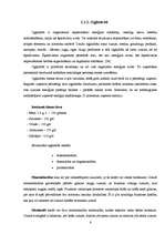 Referāts 'Enerģijas dzērienu ietekme uz cilvēka organismu', 6.