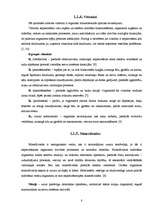 Referāts 'Enerģijas dzērienu ietekme uz cilvēka organismu', 8.