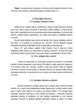 Referāts 'Enerģijas dzērienu ietekme uz cilvēka organismu', 9.