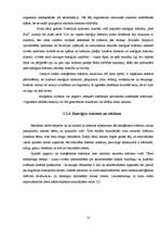 Referāts 'Enerģijas dzērienu ietekme uz cilvēka organismu', 10.