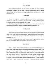 Referāts 'Enerģijas dzērienu ietekme uz cilvēka organismu', 11.