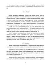 Referāts 'Enerģijas dzērienu ietekme uz cilvēka organismu', 14.