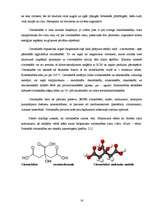 Referāts 'Enerģijas dzērienu ietekme uz cilvēka organismu', 16.