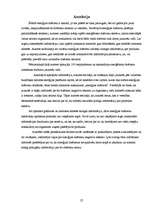 Referāts 'Enerģijas dzērienu ietekme uz cilvēka organismu', 27.