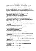 Referāts 'Enerģijas dzērienu ietekme uz cilvēka organismu', 29.