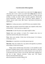 Referāts 'Veselīga uztura nozīme un skolnieku ēšanas paradumu izpēte un analīze', 5.