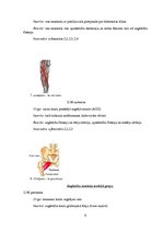 Referāts 'Fizioterapija pēc augšstilba kaula lūzuma', 9.
