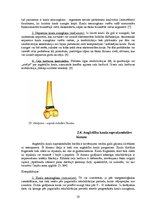 Referāts 'Fizioterapija pēc augšstilba kaula lūzuma', 19.