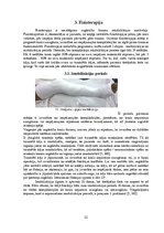 Referāts 'Fizioterapija pēc augšstilba kaula lūzuma', 22.