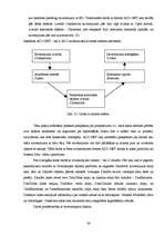 Diplomdarbs 'Web-pielikumu izveidošanas eksistējošo tehnoloģiju apskats', 36.