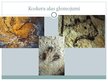 Prezentācija 'Paleolīta māksla un nozīmīgākie atklājumi', 11.