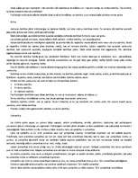 Referāts 'Runas psiholoģija', 3.