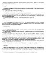 Referāts 'Runas psiholoģija', 4.