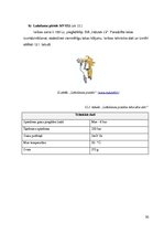 Paraugs 'Moduļu plaukti saimniecības ēkām', 30.