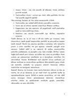 Eseja 'Dzimumpolitika. Pārmaiņas dzimumu sociālo lomu koncepcijās. Vai tās notiek?', 3.