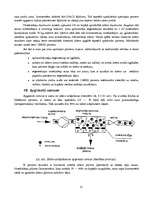 Referāts 'Hidromehānika', 9.
