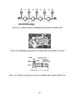 Referāts 'Hidromehānika', 33.