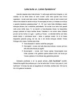 Referāts 'Laiks', 7.