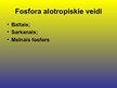 Prezentācija 'Fosfors', 4.