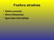 Prezentācija 'Fosfors', 14.