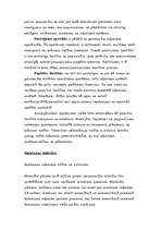 Konspekts 'Loģistika', 10.