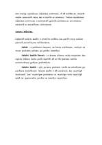 Konspekts 'Loģistika', 14.