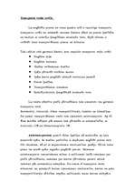 Konspekts 'Loģistika', 19.