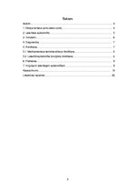 Referāts 'Laterālais epikondilīts jeb tenisista elkonis', 2.