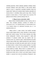 Referāts 'Laterālais epikondilīts jeb tenisista elkonis', 4.