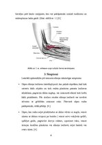 Referāts 'Laterālais epikondilīts jeb tenisista elkonis', 6.