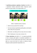 Referāts 'Laterālais epikondilīts jeb tenisista elkonis', 15.